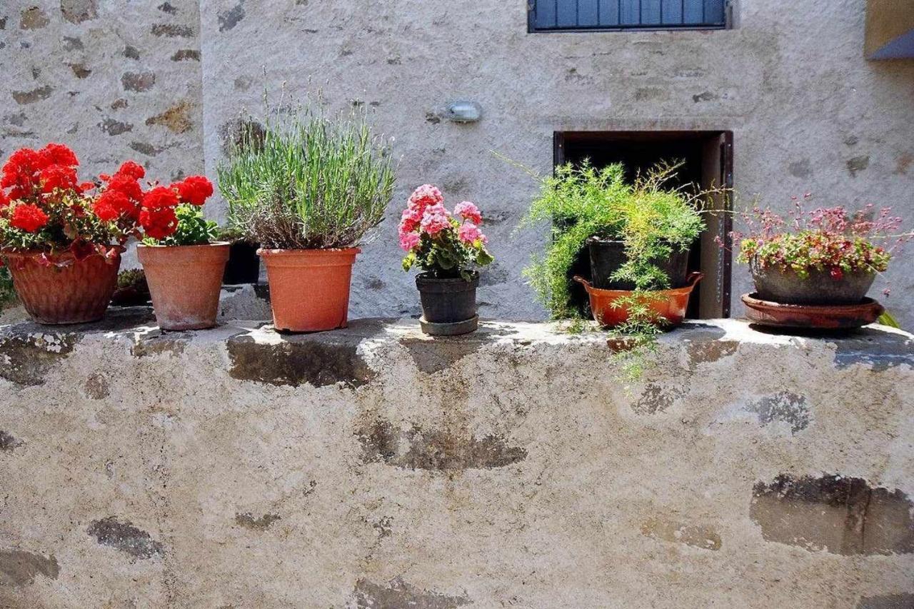 Rectoria De Castellar Villa La Vall de Bianya Luaran gambar
